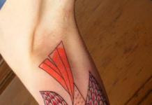 Η έννοια ενός τατουάζ πουλιού στην τέχνη τατουάζ
